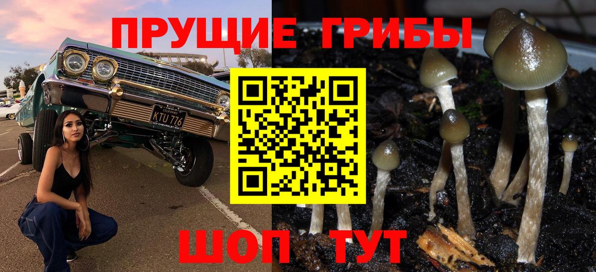 Псилоцибиновые грибы MAGIC MUSHROOMS  Галлюциногенные грибы Psilocybine cubensis  Майский  Вход с VPN 