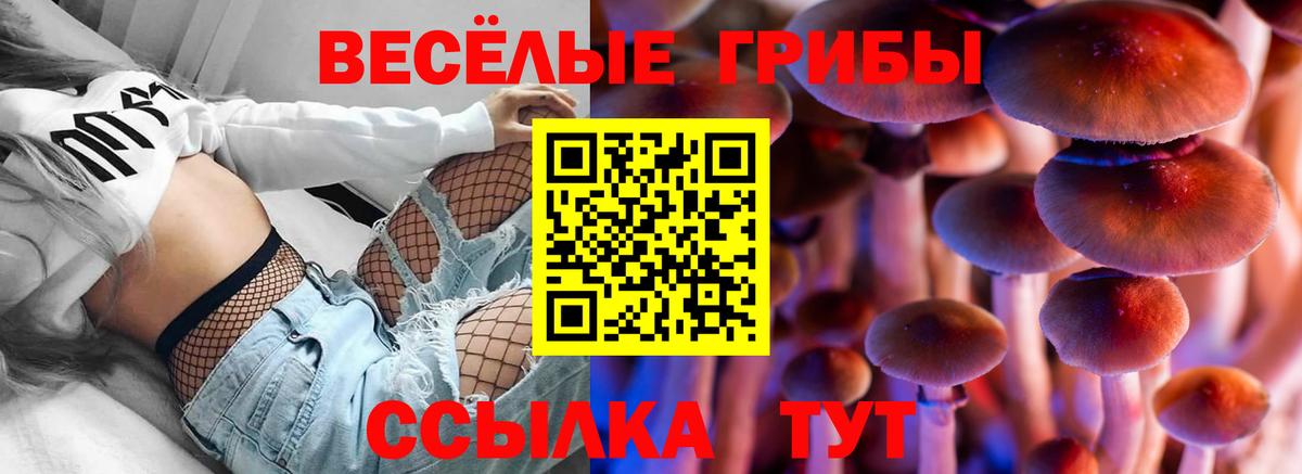 Майский  ГАШИШ  COCAIN  Канабис  Вход с VPN  Наркошоп  Меф кристаллы 